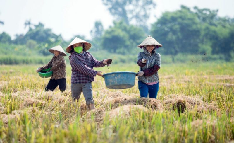 organic products_saigongiaiphong.jpg organic products_saigongiaiphong.jpg